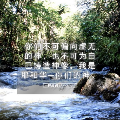 Picture 05 - 利 未 记 19:4 CUVS - 你 们 不 可 偏 向 虚 无 的 神 ， 也 - Bible Verse Picture