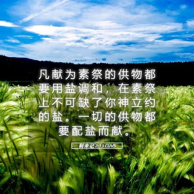 Picture 05 - 利 未 记 2:13 CUVS - 凡 献 为 素 祭 的 供 物 都 要 用 盐 - Bible Verse Picture