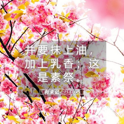 Picture 05 - 利 未 记 2:15 CUVS - 并 要 抹 上 油 ， 加 上 乳 香 ； 这 - Bible Verse Picture