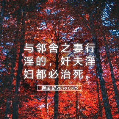 Picture 05 - 利 未 记 20:10 CUVS - 与 邻 舍 之 妻 行 淫 的 ， 奸 夫 淫 - Bible Verse Picture