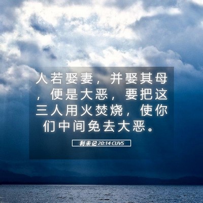 Picture 05 - 利 未 记 20:14 CUVS - 人 若 娶 妻 ， 并 娶 其 母 ， 便 是 - Bible Verse Picture