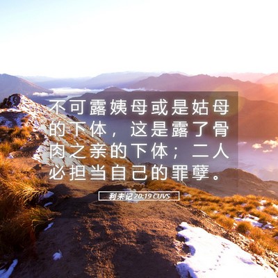 Picture 05 - 利 未 记 20:19 CUVS - 不 可 露 姨 母 或 是 姑 母 的 下 体 - Bible Verse Picture
