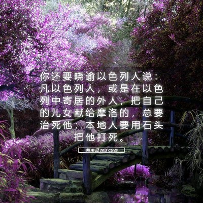 Picture 05 - 利 未 记 20:2 CUVS - 你 还 要 晓 谕 以 色 列 人 说 ： 凡 - Bible Verse Picture