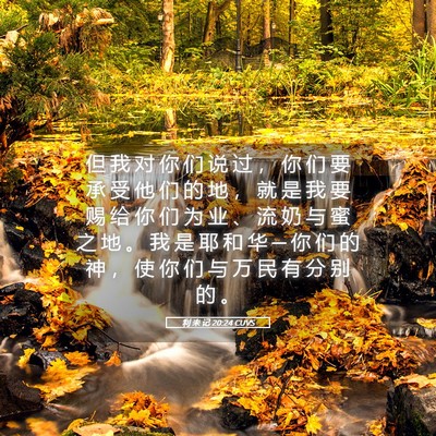 Picture 05 - 利 未 记 20:24 CUVS - 但 我 对 你 们 说 过 ， 你 们 要 承 - Bible Verse Picture