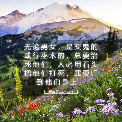 Picture 05 - 利 未 记 20:27 CUVS - 无 论 男 女 ， 是 交 鬼 的 或 行 巫 - Bible Verse Picture