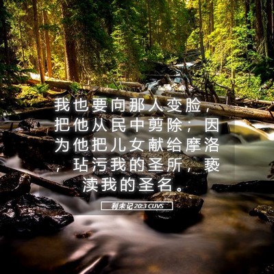 Picture 05 - 利 未 记 20:3 CUVS - 我 也 要 向 那 人 变 脸 ， 把 他 从 - Bible Verse Picture