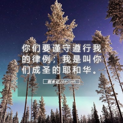 Picture 05 - 利 未 记 20:8 CUVS - 你 们 要 谨 守 遵 行 我 的 律 例 ； - Bible Verse Picture