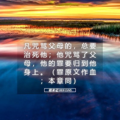 Picture 05 - 利 未 记 20:9 CUVS - 凡 咒 骂 父 母 的 ， 总 要 治 死 他 - Bible Verse Picture
