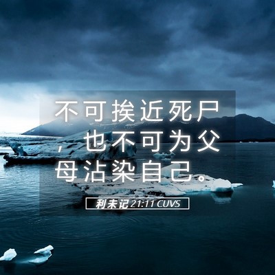 Picture 05 - 利 未 记 21:11 CUVS - 不 可 挨 近 死 尸 ， 也 不 可 为 父 - Bible Verse Picture