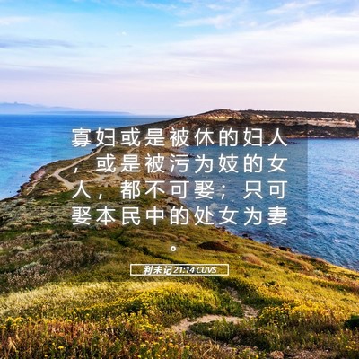 Picture 05 - 利 未 记 21:14 CUVS - 寡 妇 或 是 被 休 的 妇 人 ， 或 是 - Bible Verse Picture