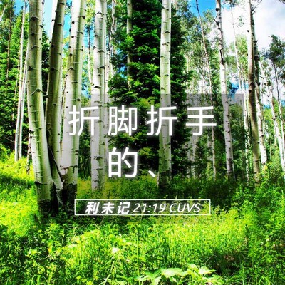 Picture 05 - 利 未 记 21:19 CUVS - 折 脚 折 手 的 - Bible Verse Picture
