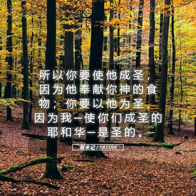 Picture 05 - 利 未 记 21:8 CUVS - 所 以 你 要 使 他 成 圣 ， 因 为 他 - Bible Verse Picture