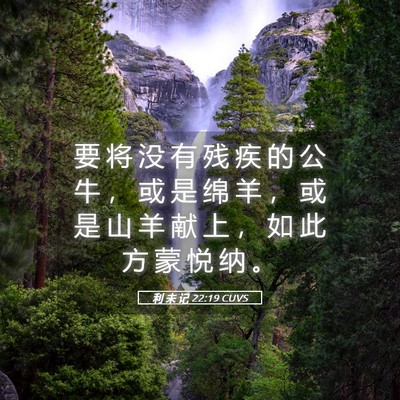 Picture 05 - 利 未 记 22:19 CUVS - 要 将 没 有 残 疾 的 公 牛 ， 或 是 - Bible Verse Picture