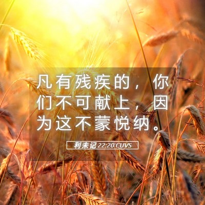 Picture 05 - 利 未 记 22:20 CUVS - 凡 有 残 疾 的 ， 你 们 不 可 献 上 - Bible Verse Picture