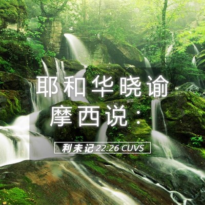Picture 05 - 利 未 记 22:26 CUVS - 耶 和 华 晓 谕 摩 西 说 - Bible Verse Picture