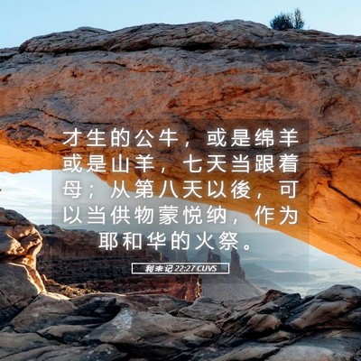 Picture 05 - 利 未 记 22:27 CUVS - 才 生 的 公 牛 ， 或 是 绵 羊 或 是 - Bible Verse Picture