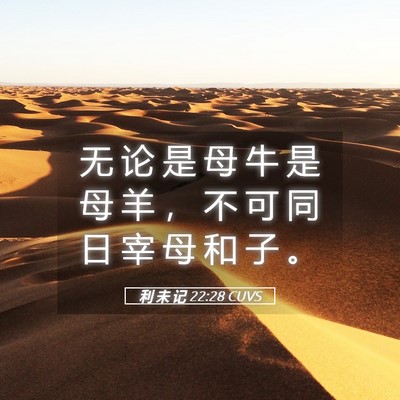Picture 05 - 利 未 记 22:28 CUVS - 无 论 是 母 牛 是 母 羊 ， 不 可 同 - Bible Verse Picture