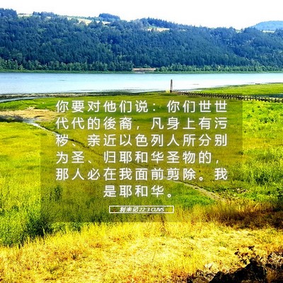 Picture 05 - 利 未 记 22:3 CUVS - 你 要 对 他 们 说 ： 你 们 世 世 代 - Bible Verse Picture