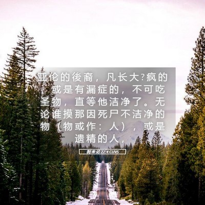 Picture 05 - 利 未 记 22:4 CUVS - 亚 伦 的 後 裔 ， 凡 长 大 ? 疯 的 ， - Bible Verse Picture