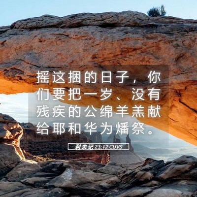 Picture 05 - 利 未 记 23:12 CUVS - 摇 这 捆 的 日 子 ， 你 们 要 把 一 - Bible Verse Picture