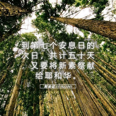 Picture 05 - 利 未 记 23:16 CUVS - 到 第 七 个 安 息 日 的 次 日 ， 共 - Bible Verse Picture