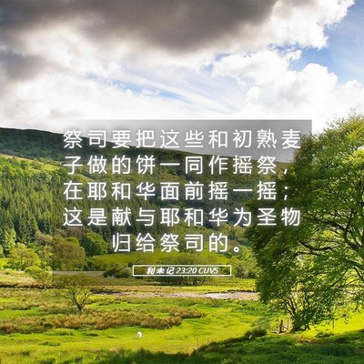 Picture 05 - 利 未 记 23:20 CUVS - 祭 司 要 把 这 些 和 初 熟 麦 子 做 - Bible Verse Picture