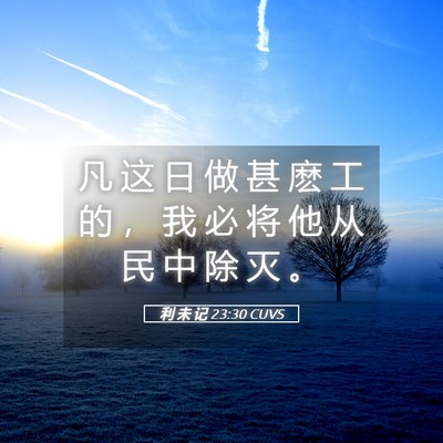 Picture 05 - 利 未 记 23:30 CUVS - 凡 这 日 做 甚 麽 工 的 ， 我 必 将 - Bible Verse Picture