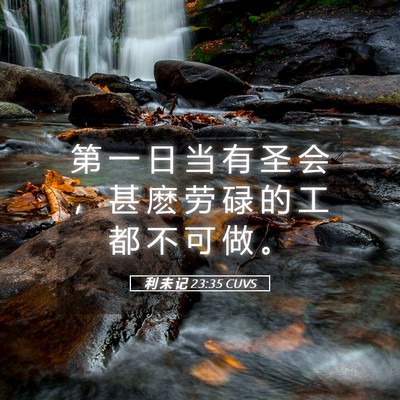 Picture 05 - 利 未 记 23:35 CUVS - 第 一 日 当 有 圣 会 ， 甚 麽 劳 碌 - Bible Verse Picture