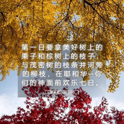 Picture 05 - 利 未 记 23:40 CUVS - 第 一 日 要 拿 美 好 树 上 的 果 子 - Bible Verse Picture