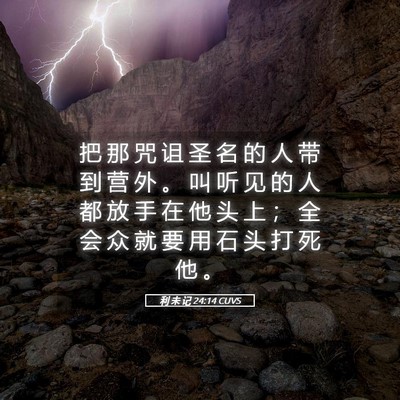 Picture 05 - 利 未 记 24:14 CUVS - 把 那 咒 诅 圣 名 的 人 带 到 营 外 - Bible Verse Picture