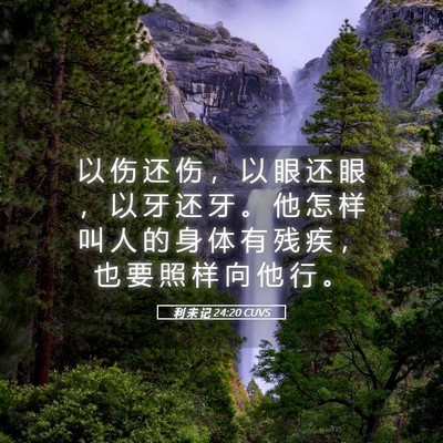 Picture 05 - 利 未 记 24:20 CUVS - 以 伤 还 伤 ， 以 眼 还 眼 ， 以 牙 - Bible Verse Picture
