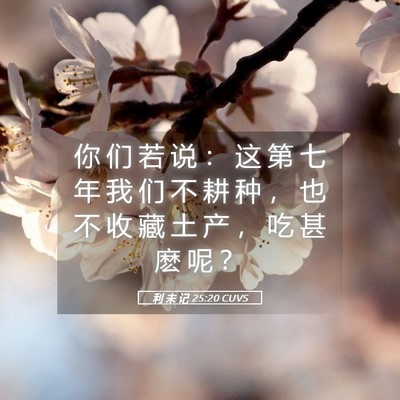 Picture 05 - 利 未 记 25:20 CUVS - 你 们 若 说 ： 这 第 七 年 我 们 不 - Bible Verse Picture
