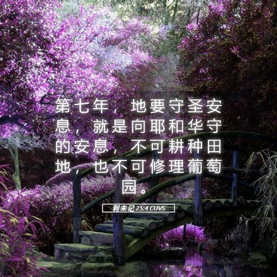 Picture 05 - 利 未 记 25:4 CUVS - 第 七 年 ， 地 要 守 圣 安 息 ， 就 - Bible Verse Picture