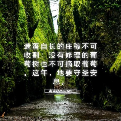 Picture 05 - 利 未 记 25:5 CUVS - 遗 落 自 长 的 庄 稼 不 可 收 割 ； - Bible Verse Picture