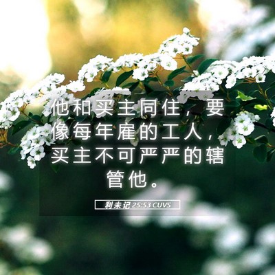 Picture 05 - 利 未 记 25:53 CUVS - 他 和 买 主 同 住 ， 要 像 每 年 雇 - Bible Verse Picture
