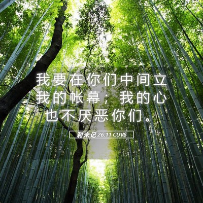 Picture 05 - 利 未 记 26:11 CUVS - 我 要 在 你 们 中 间 立 我 的 帐 幕 - Bible Verse Picture