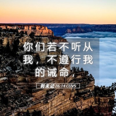 Picture 05 - 利 未 记 26:14 CUVS - 你 们 若 不 听 从 我 ， 不 遵 行 我 - Bible Verse Picture