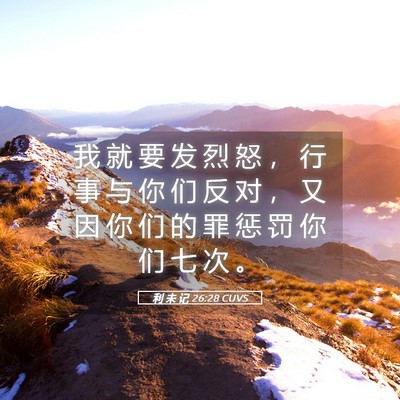 Picture 05 - 利 未 记 26:28 CUVS - 我 就 要 发 烈 怒 ， 行 事 与 你 们 - Bible Verse Picture