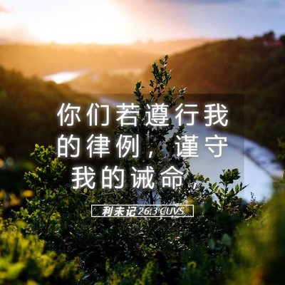 Picture 05 - 利 未 记 26:3 CUVS - 你 们 若 遵 行 我 的 律 例 ， 谨 守 - Bible Verse Picture