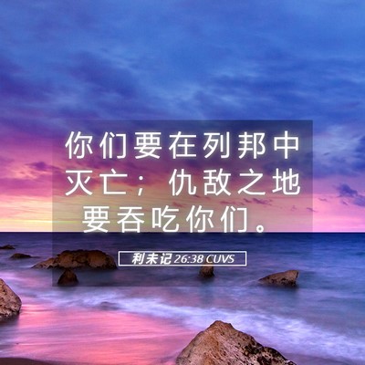 Picture 05 - 利 未 记 26:38 CUVS - 你 们 要 在 列 邦 中 灭 亡 ； 仇 敌 - Bible Verse Picture