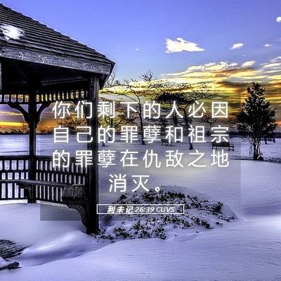 Picture 05 - 利 未 记 26:39 CUVS - 你 们 剩 下 的 人 必 因 自 己 的 罪 - Bible Verse Picture