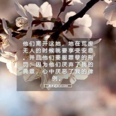 Picture 05 - 利 未 记 26:43 CUVS - 他 们 离 开 这 地 ， 地 在 荒 废 无 - Bible Verse Picture