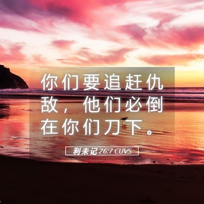 Picture 05 - 利 未 记 26:7 CUVS - 你 们 要 追 赶 仇 敌 ， 他 们 必 倒 - Bible Verse Picture