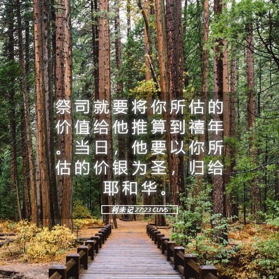 Picture 05 - 利 未 记 27:23 CUVS - 祭 司 就 要 将 你 所 估 的 价 值 给 - Bible Verse Picture
