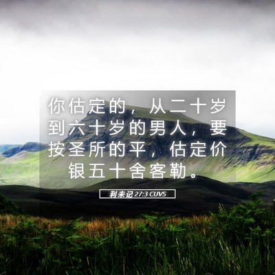 Picture 05 - 利 未 记 27:3 CUVS - 你 估 定 的 ， 从 二 十 岁 到 六 十 - Bible Verse Picture