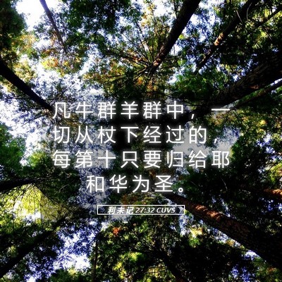 Picture 05 - 利 未 记 27:32 CUVS - 凡 牛 群 羊 群 中 ， 一 切 从 杖 下 - Bible Verse Picture