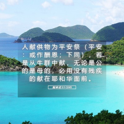 Picture 05 - 利 未 记 3:1 CUVS - 人 献 供 物 为 平 安 祭 （ 平 安 ： - Bible Verse Picture