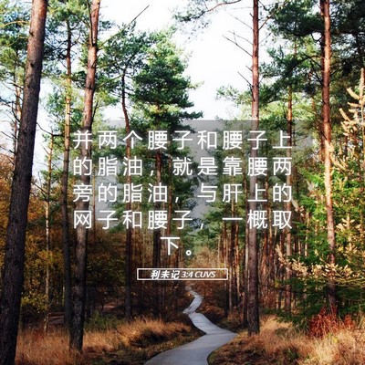 Picture 05 - 利 未 记 3:4 CUVS - 并 两 个 腰 子 和 腰 子 上 的 脂 油 - Bible Verse Picture
