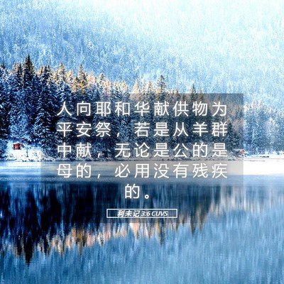 Picture 05 - 利 未 记 3:6 CUVS - 人 向 耶 和 华 献 供 物 为 平 安 祭 - Bible Verse Picture