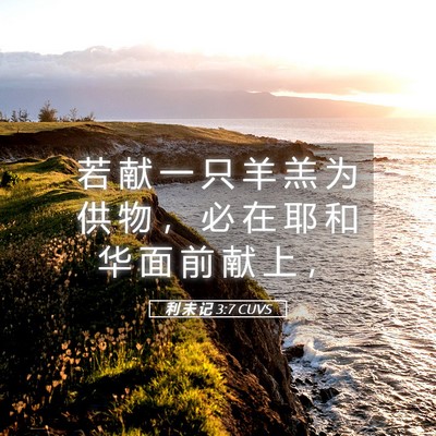 Picture 05 - 利 未 记 3:7 CUVS - 若 献 一 只 羊 羔 为 供 物 ， 必 在 - Bible Verse Picture